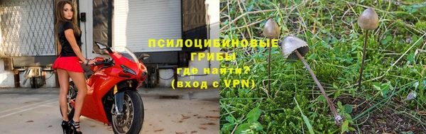 крисы Аркадак