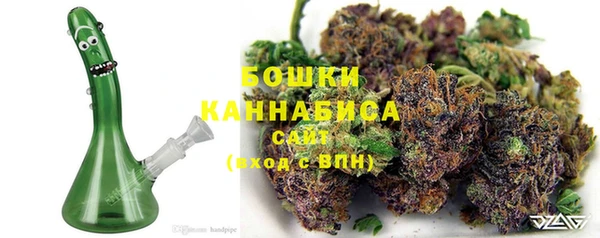 крисы Аркадак