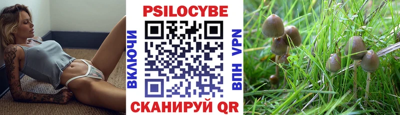 Галлюциногенные грибы ЛСД  Николаевск 